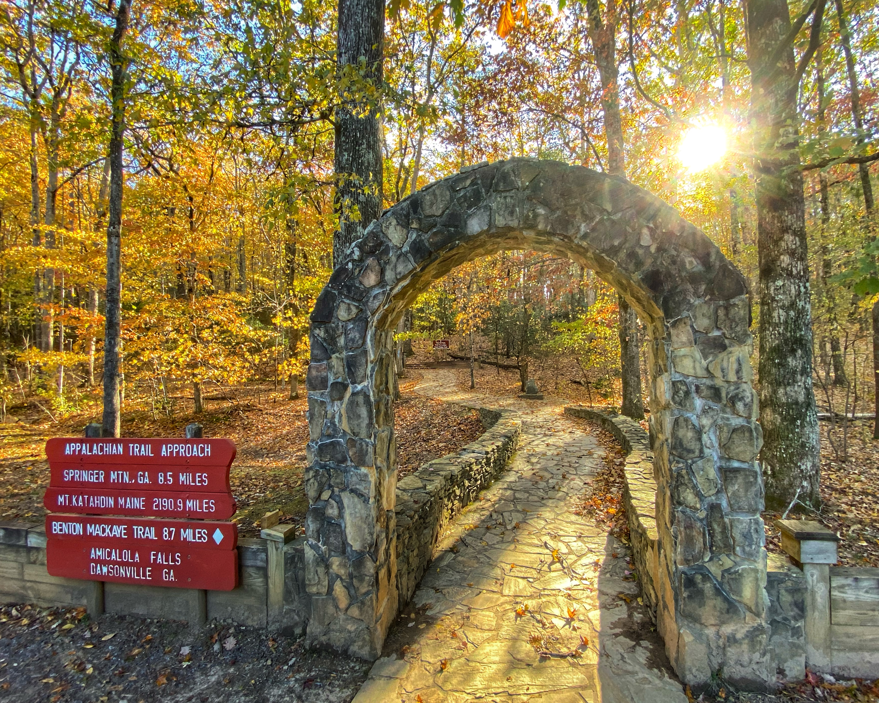 AT Arch Fall