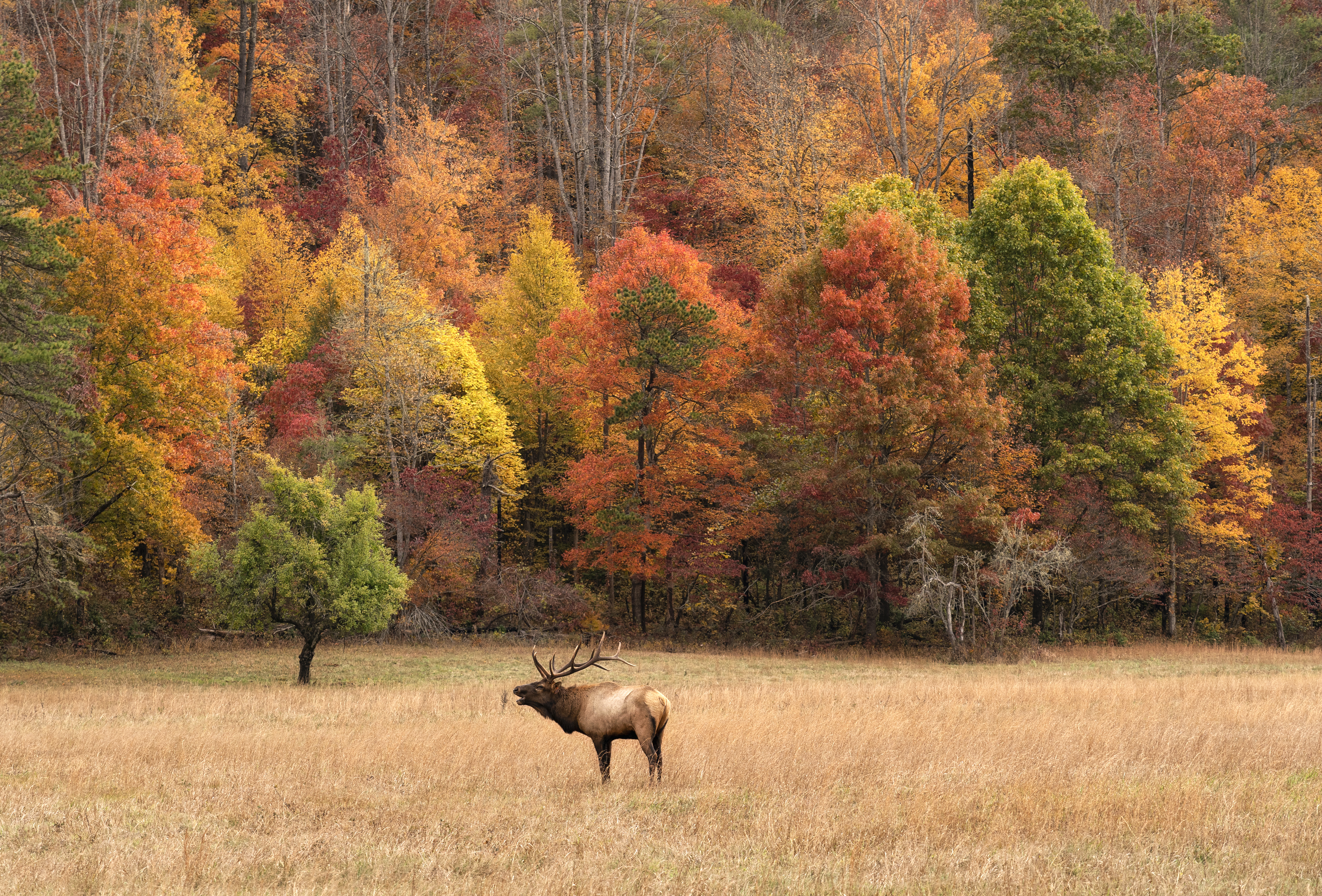 Franklin NC Nantahala mountain scenery