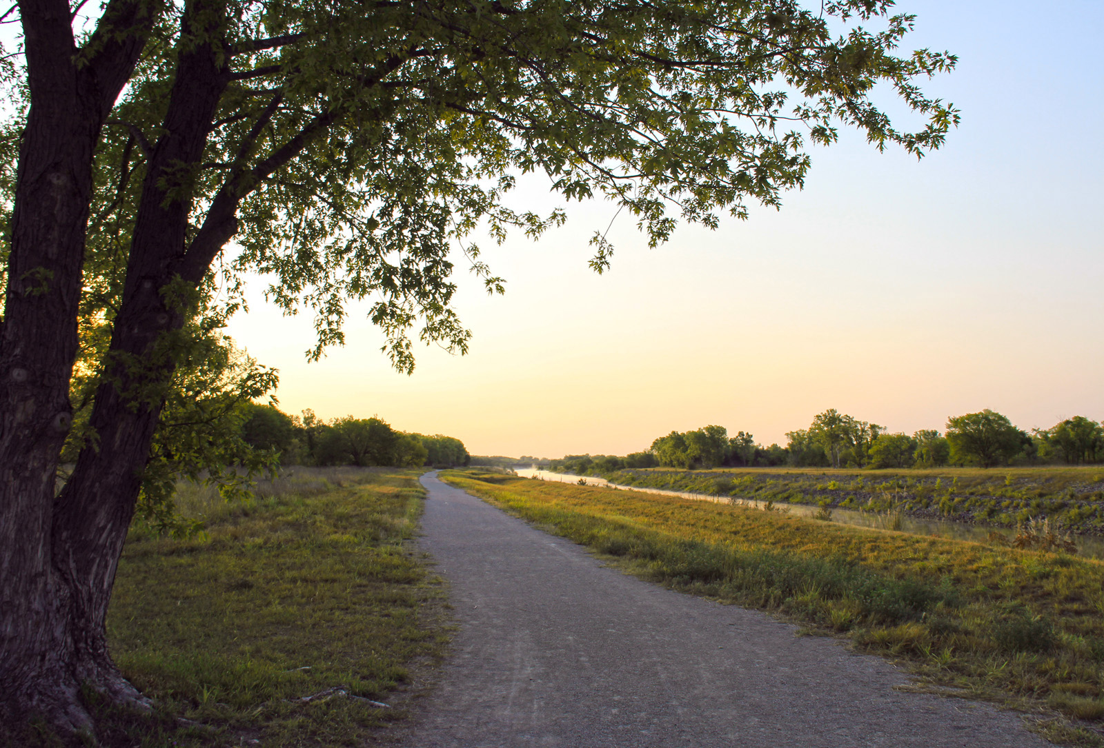 Riverwalk Trailb Rose Dahlgren