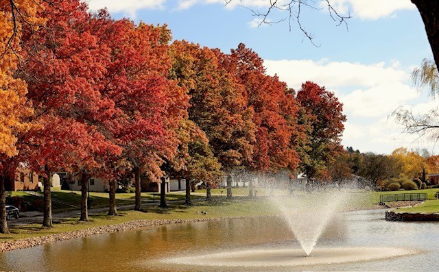 Fall Water Mary Milford