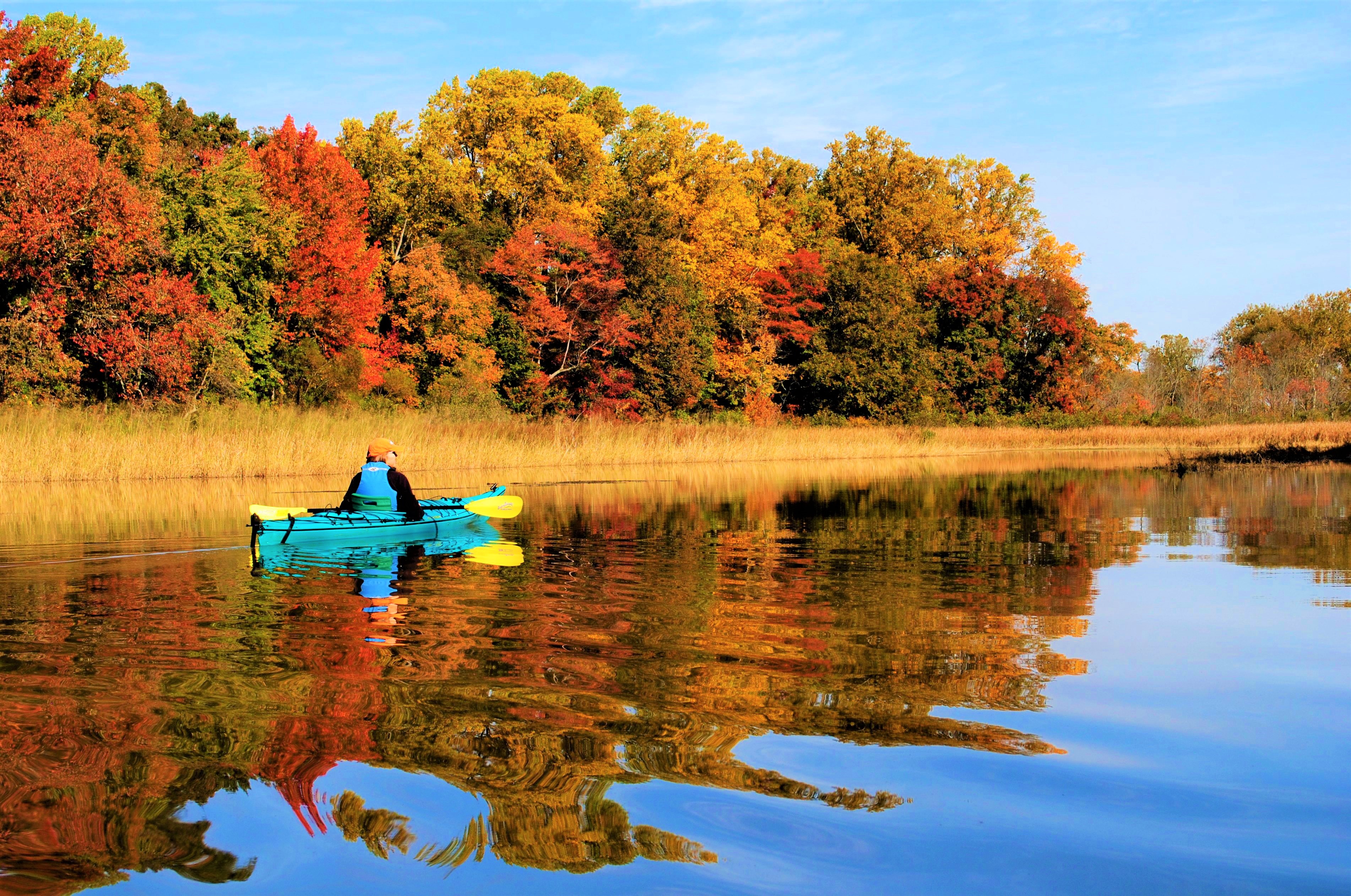 Kent County, Maryland — Eastern Neck Wildlife Refuge & Chesapeake Trails