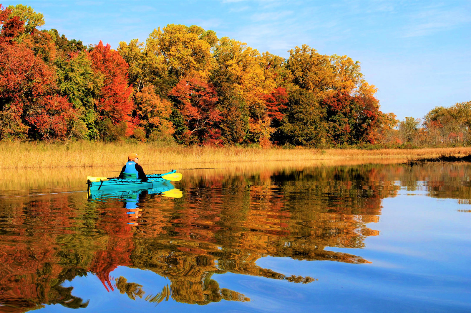 Kent County, Maryland — Eastern Neck Wildlife Refuge & Chesapeake Trails