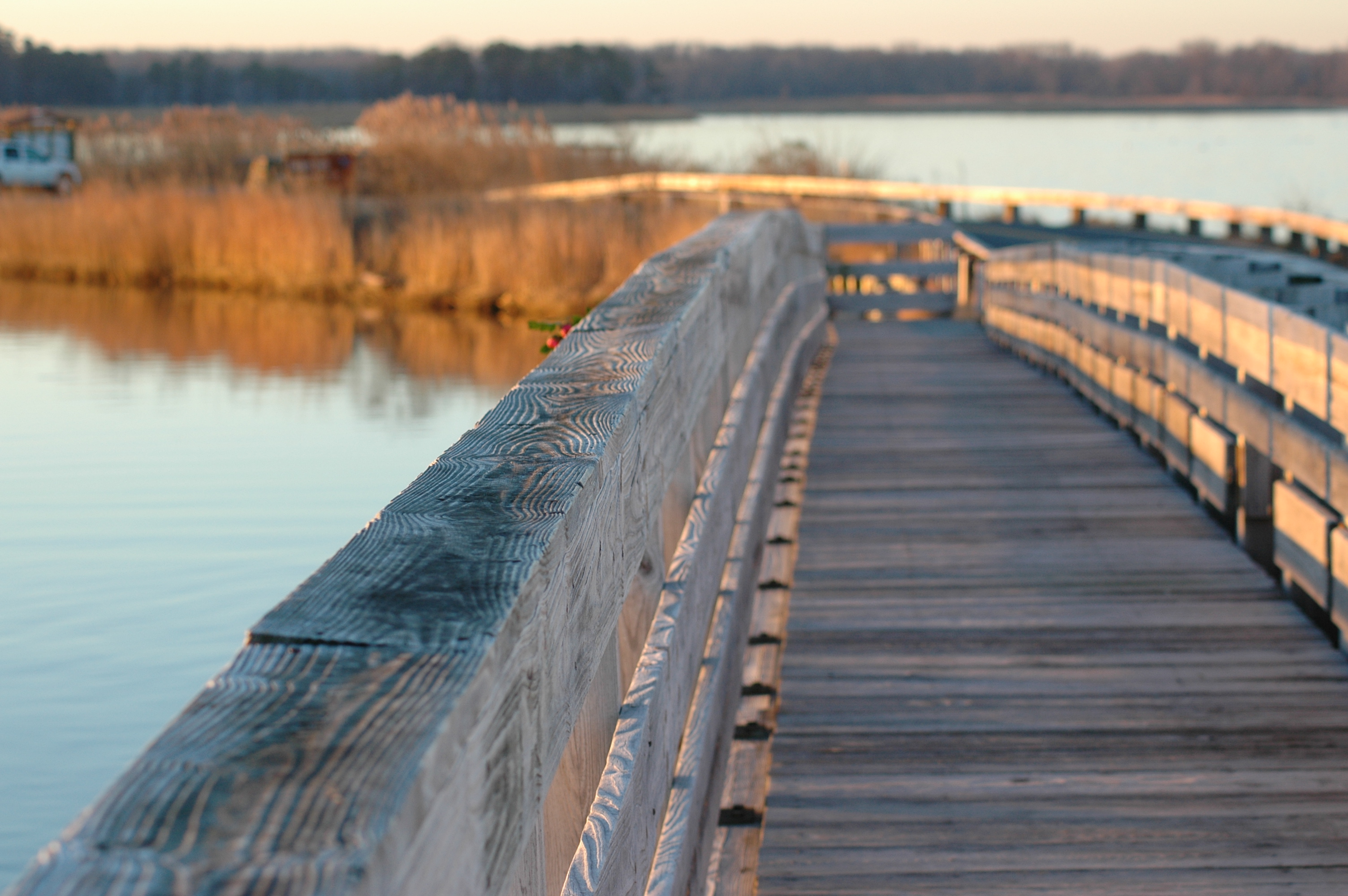 East Neck Bridge Shalyn Boulden