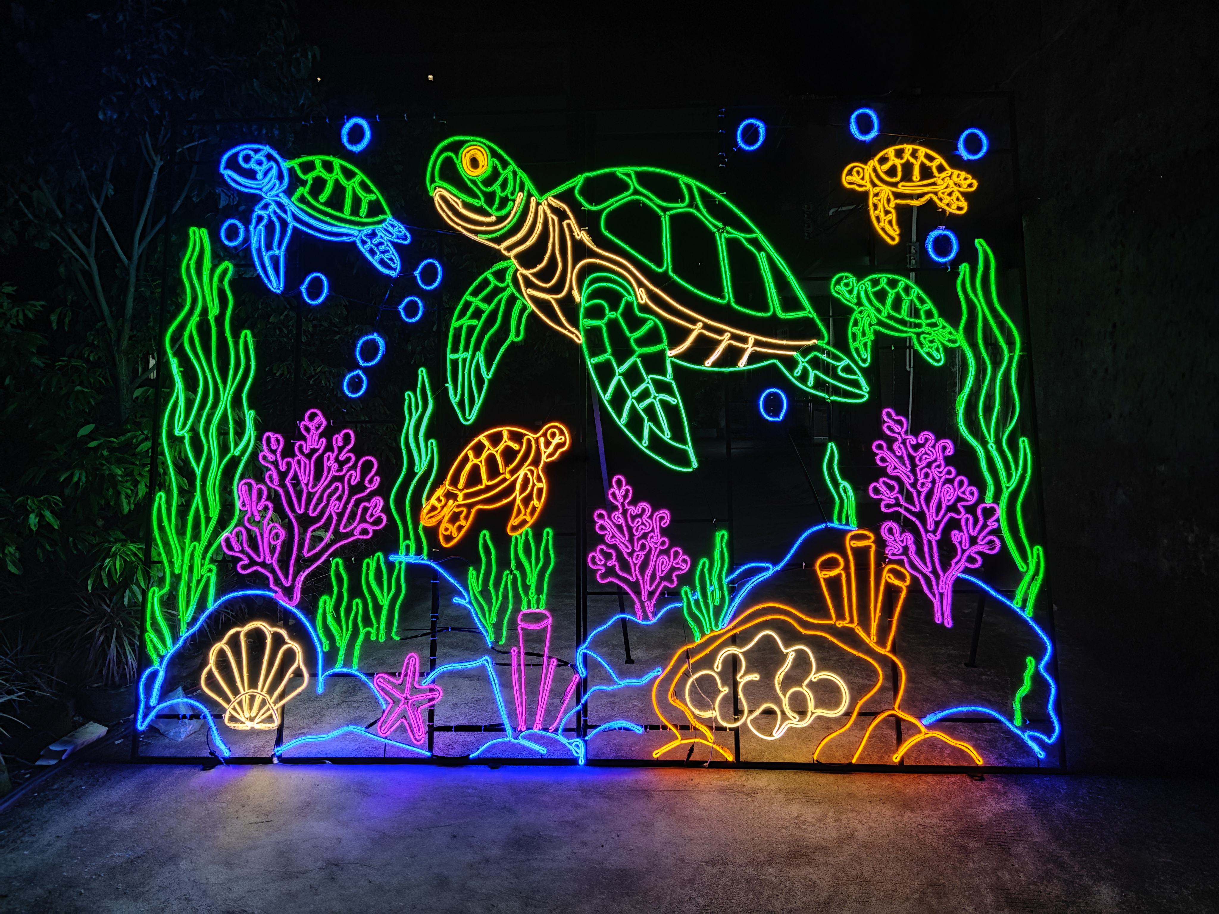 Turtles Rebecca West