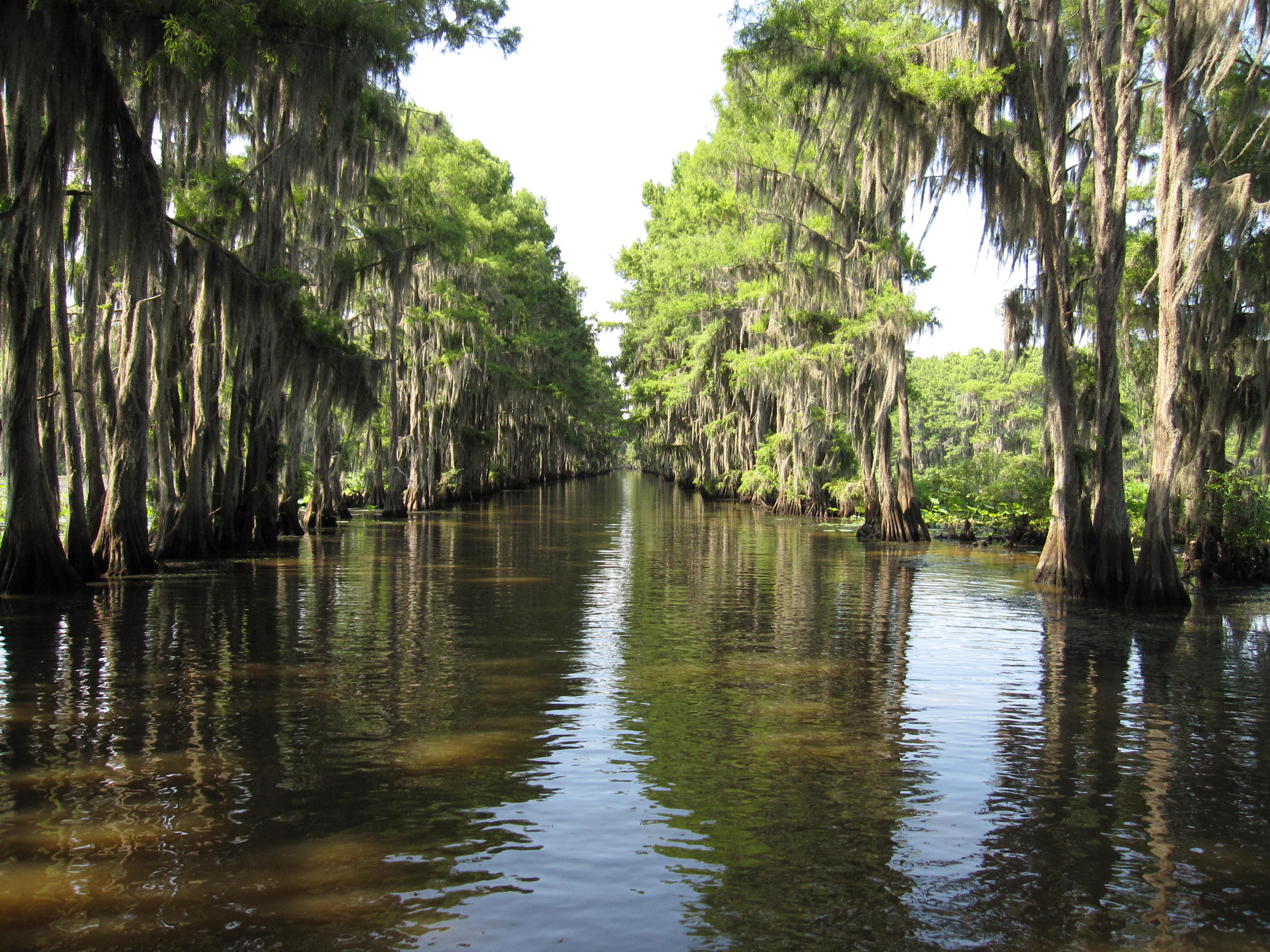 Marshall, Texas — Caddo Lake, Rueggenfest & East Texas Adventure