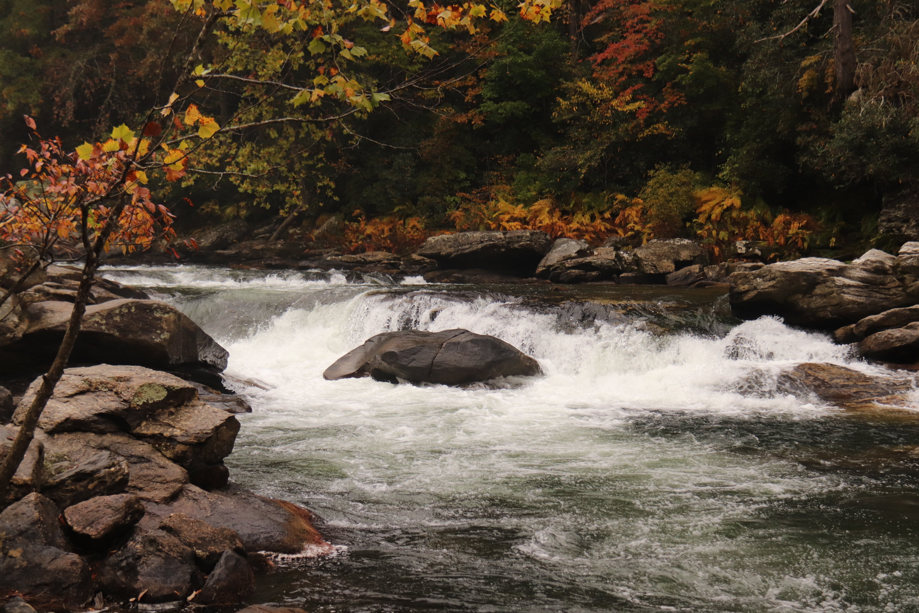 Bull Sluice Chattooga River Cricket Barnett