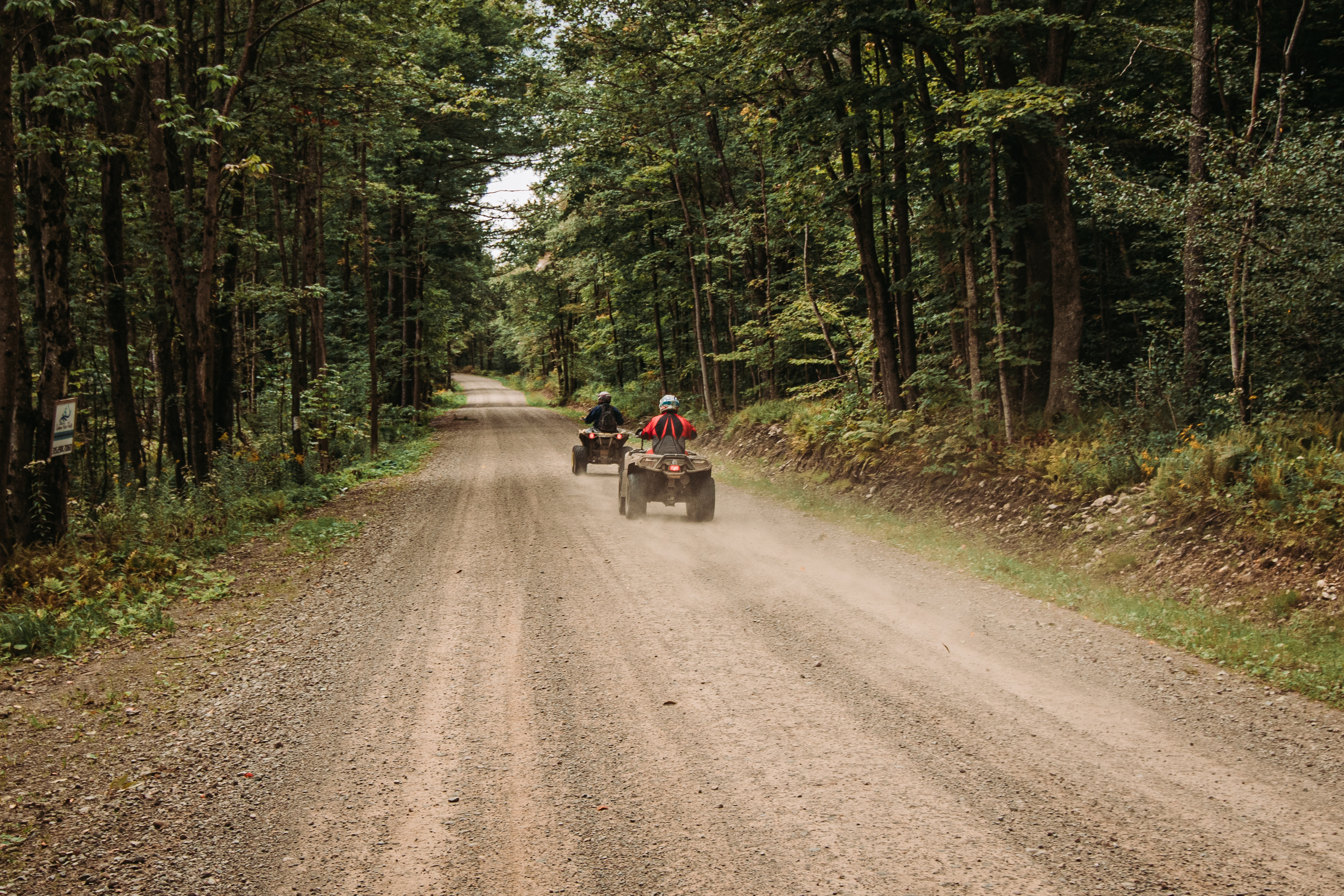 Chateaugay State Forest DeMott2019(1)