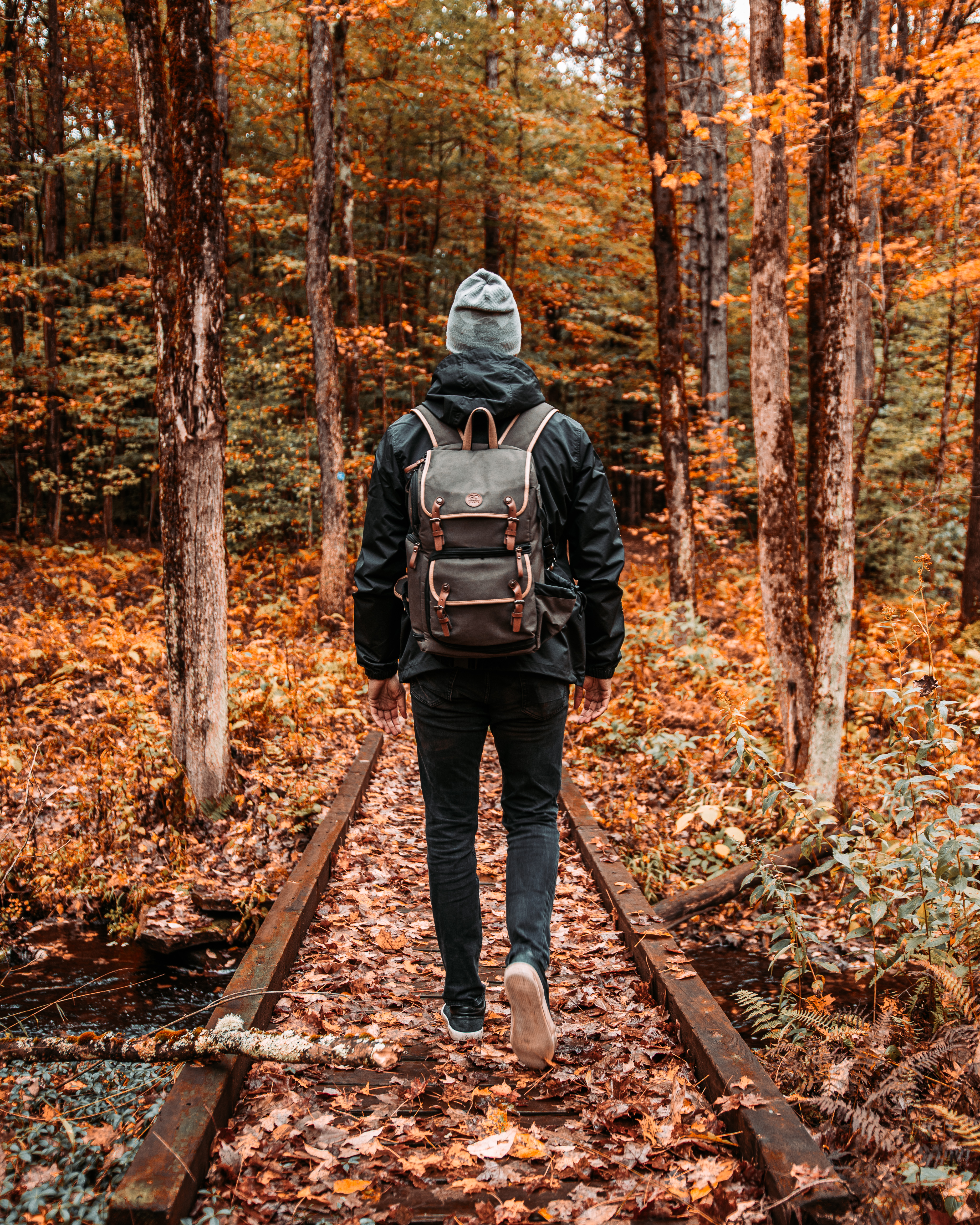 Chateaugay State Forest DeMott2019(19)