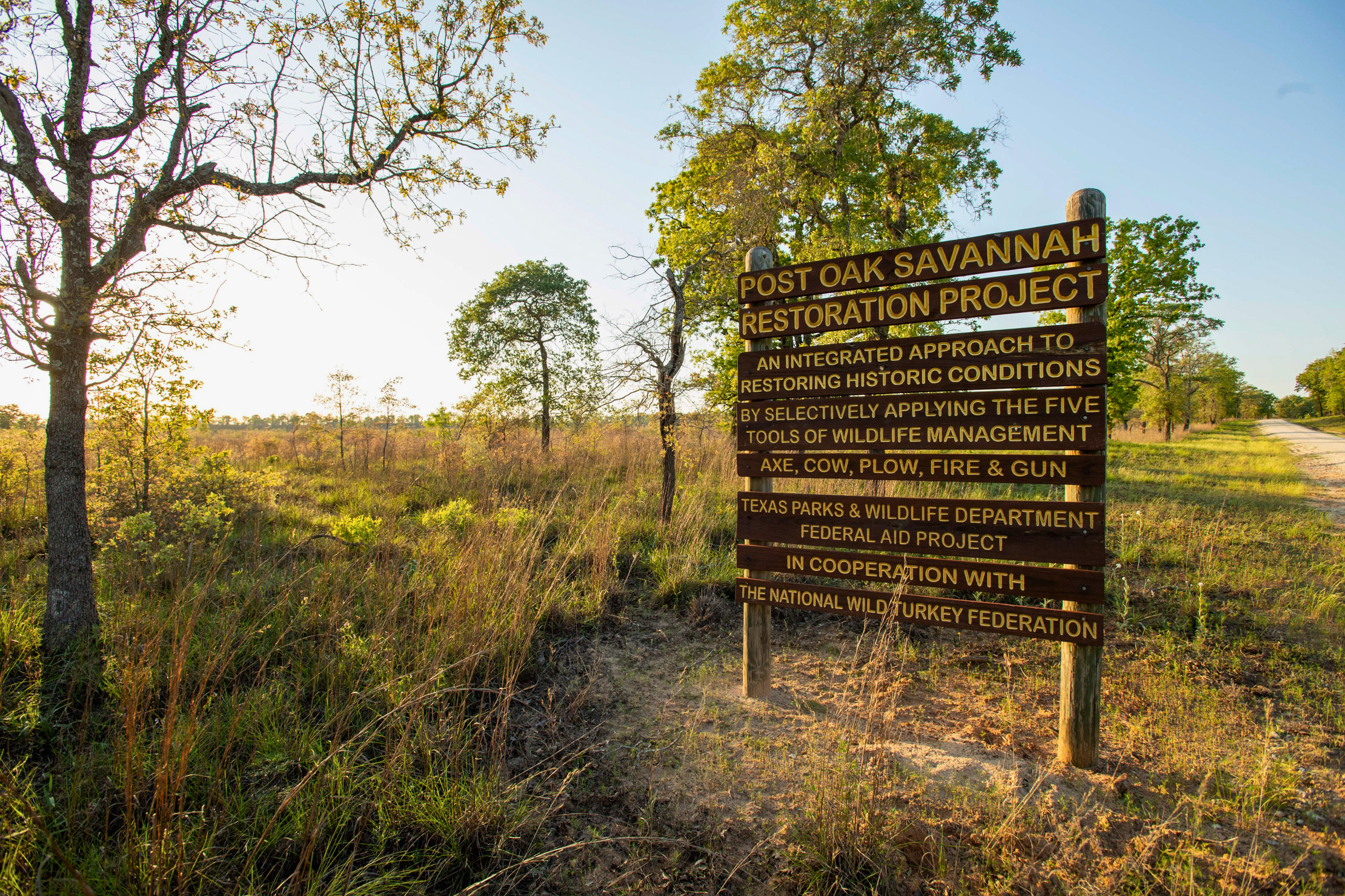 Hunting in Palestine, Texas — Trophy Whitetail, Hog & Waterfowl