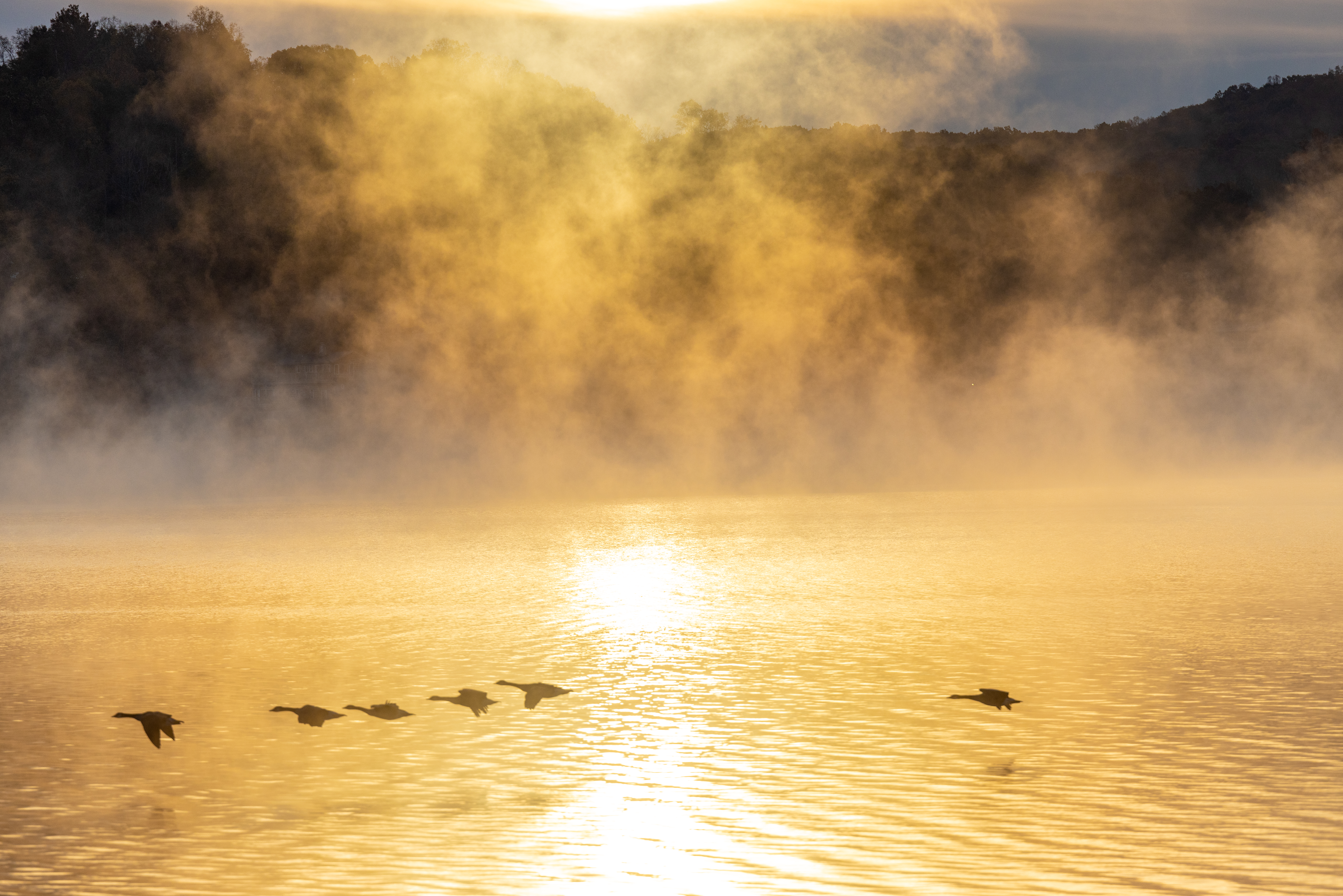 Pulaski County, Virginia — Claytor Lake, New River Trail & Mountain Wineries