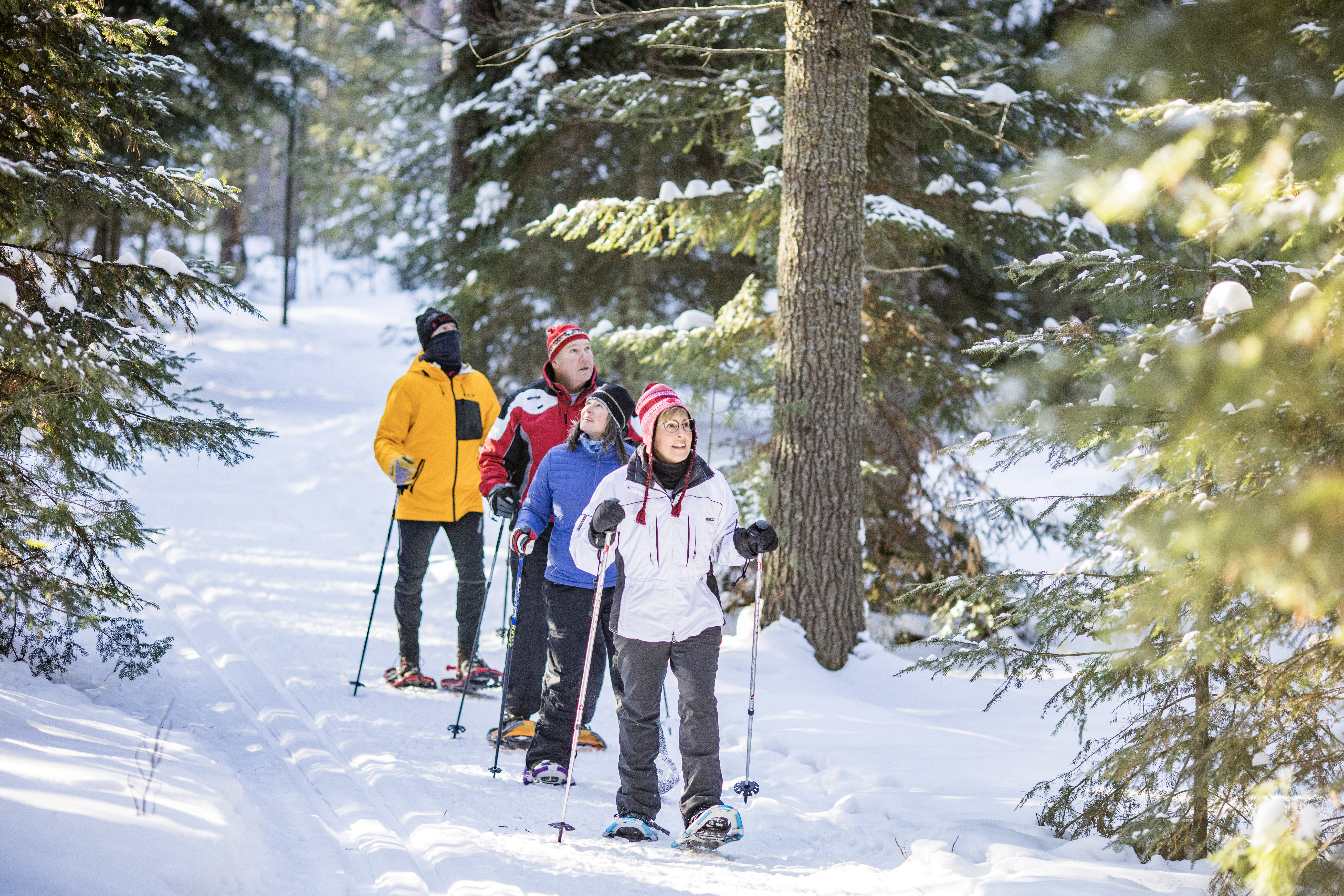 013 Friends Snowshoe The Awassa Trail In St