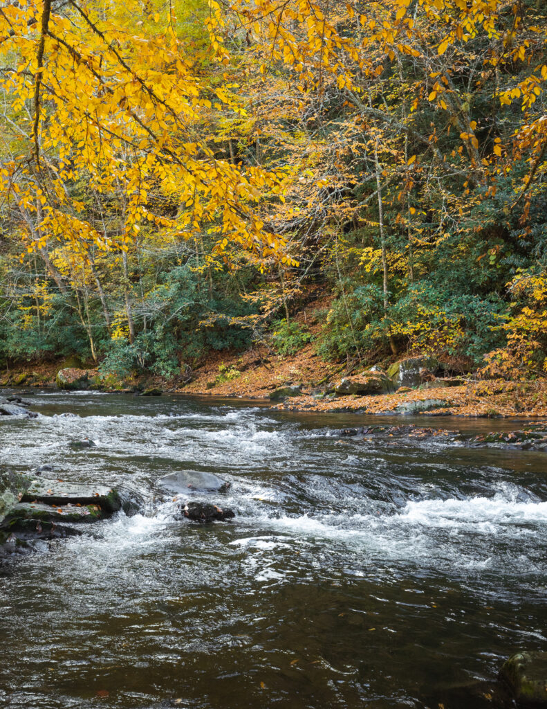 Cherokee County, North Carolina — photo 26