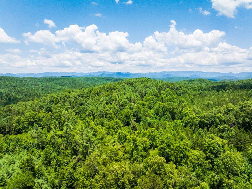 Cherokee County, North Carolina — photo 11