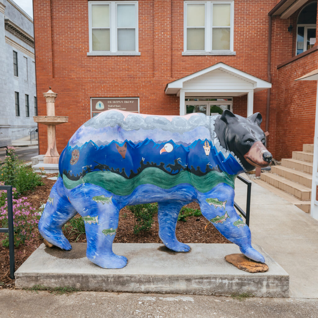 Cherokee County, North Carolina — photo 28