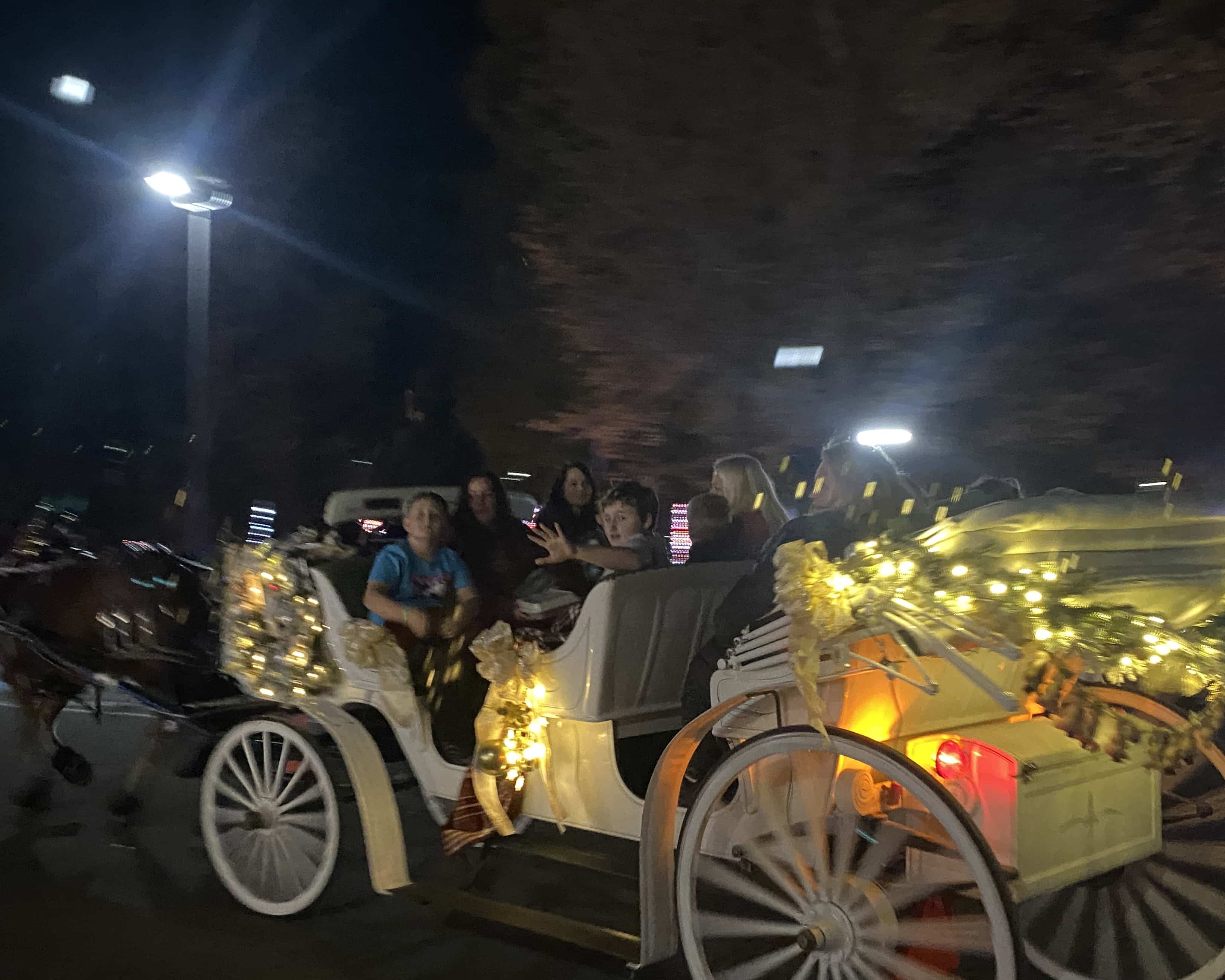 Seasonal Celebrations in Tifton: From Smoky BBQ to Sweet Strawberries — photo 1
