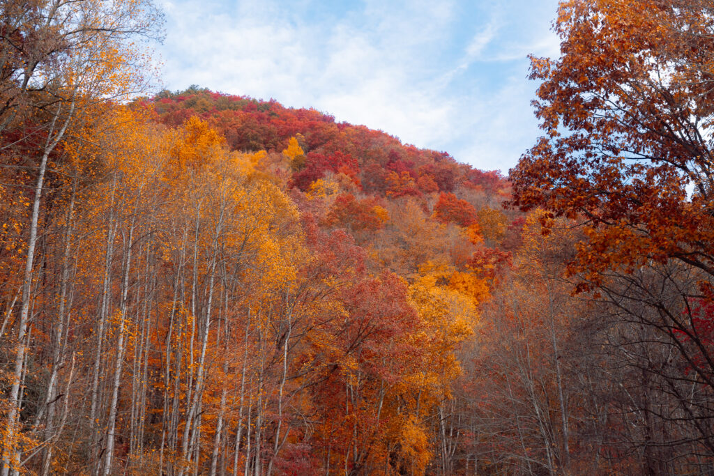 Cherokee County, North Carolina — photo 1