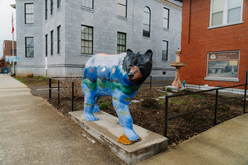 Cherokee County, North Carolina — photo 20