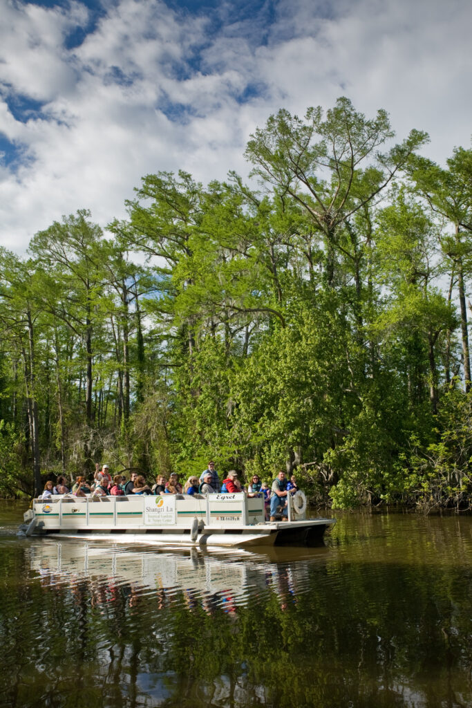 Cajun Capital of Texas: Discover the Wild Beauty of Port Arthur — photo 2