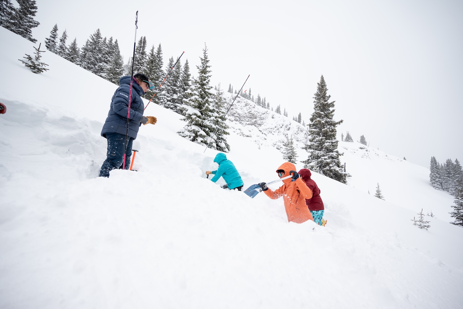 AIARE New One: Backcountry Performance for Skiers Who Leave the Groomers Behind