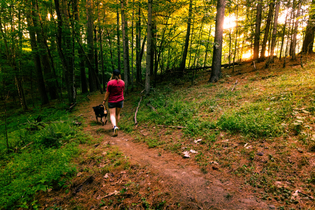 Explore the Wild Side of Upshur County, WV: Where Adventure Awaits Around Every Bend — photo 2